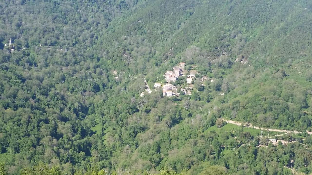 Villa La Source 6 Couchages Valle d'Alesani Exterior foto